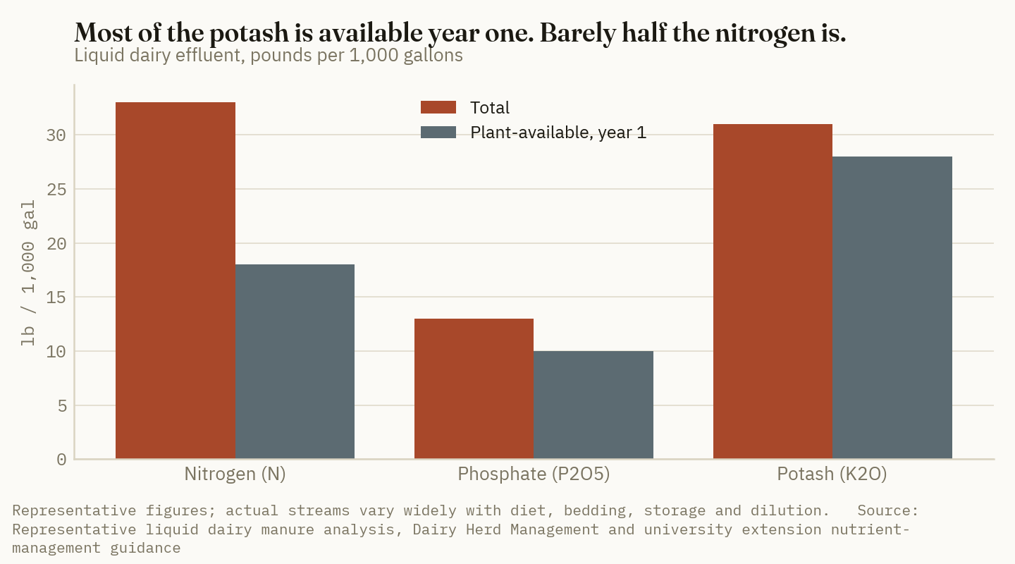 Potash and phosphate in liquid dairy effluent are largely plant-available in the first year, while barely half the nitrogen is.