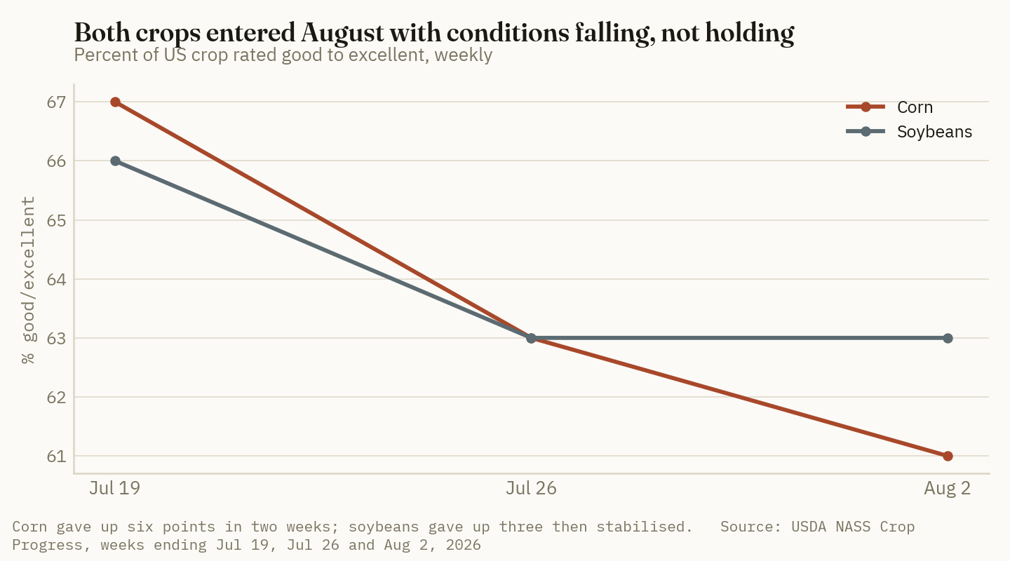 Corn gave up six points of good-to-excellent rating in two weeks while soybeans stabilised at 63%.
