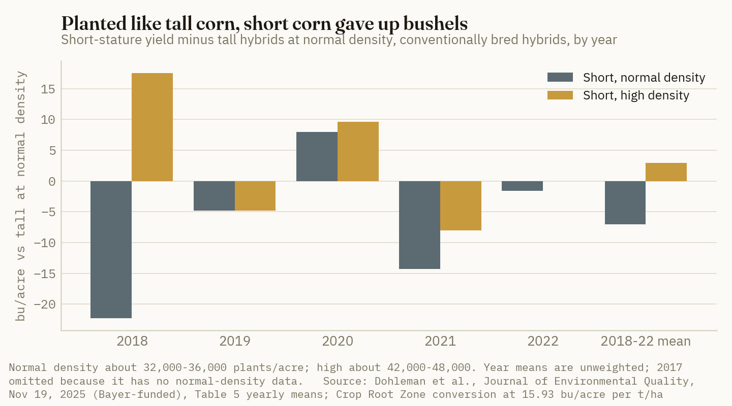 Short hybrids trailed tall hybrids at normal density in four of five years and beat them only in 2018 and the 2020 derecho year once planted at high density.